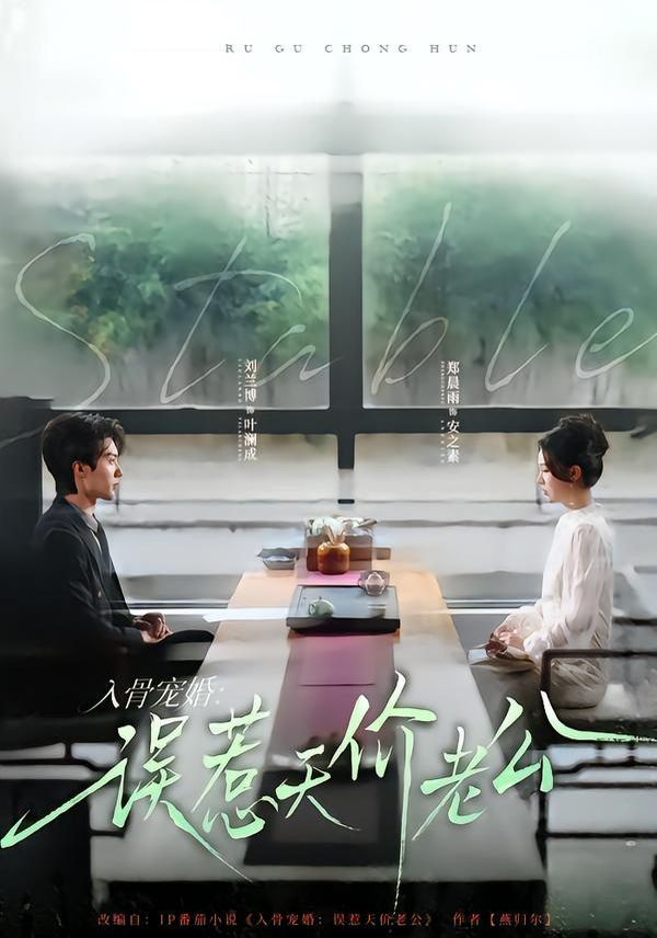 入骨宠婚：误惹天价老公